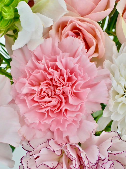 Soft Pink Garden
