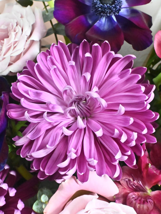 Cassanova Mistral Bouquet