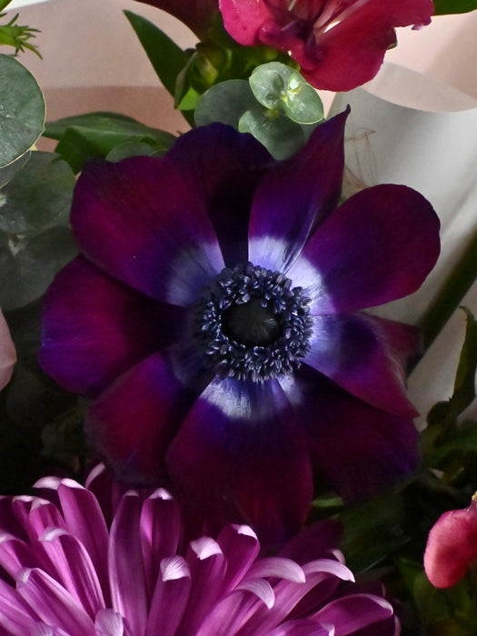 Cassanova Mistral Bouquet