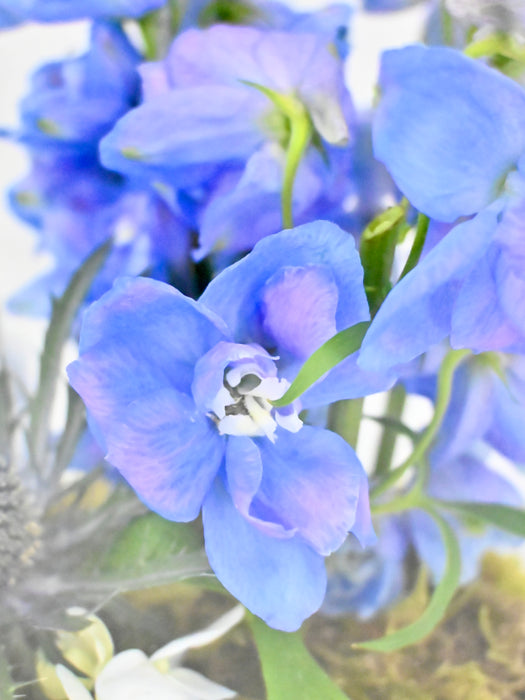 Guardian Lavender