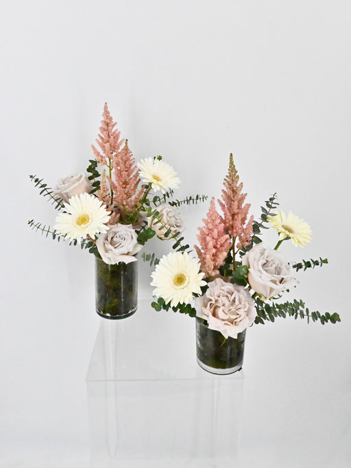 Cute Vase Set