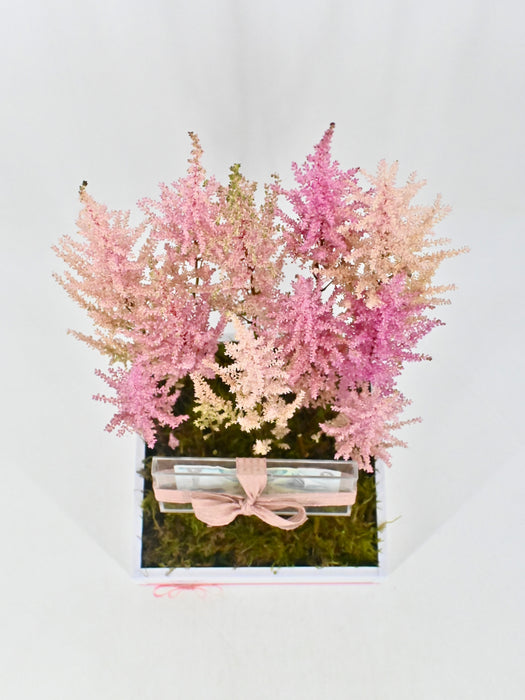 Romanze Money Garden