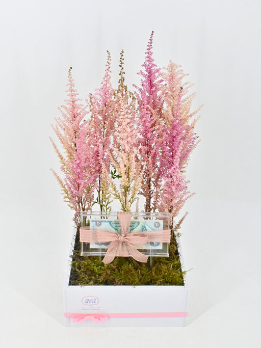 Romanze Money Garden
