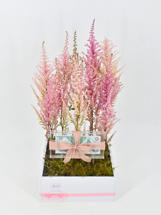 Romanze Money Garden