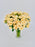 Salinero Bloom