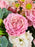 Julietta Garden