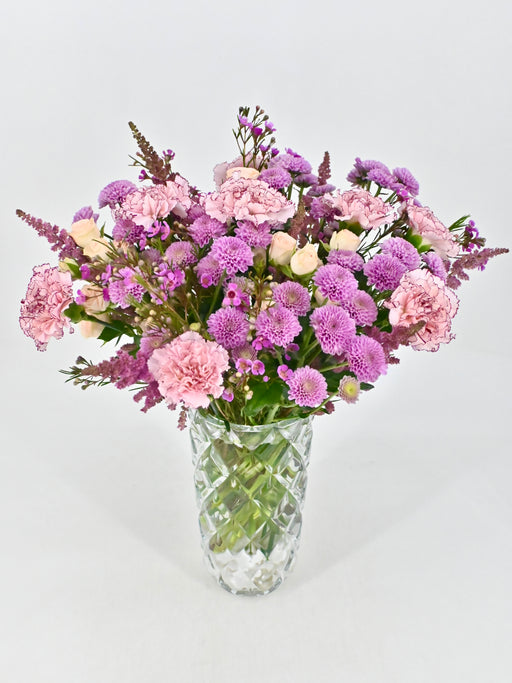 Mariposa Bloom