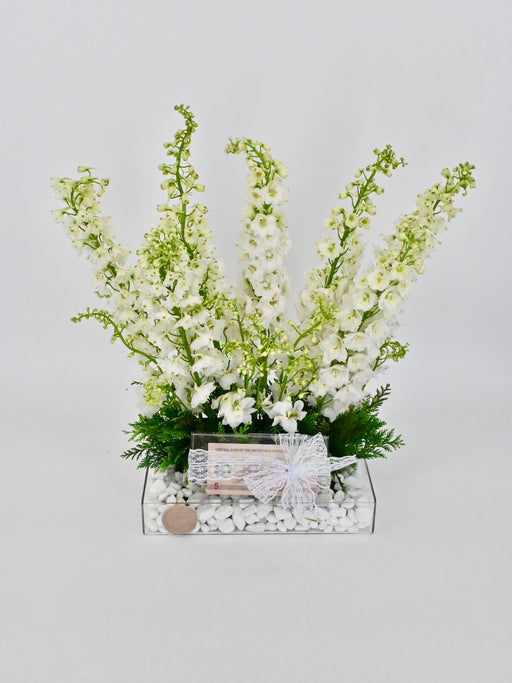 Delphy White Money Arrangement