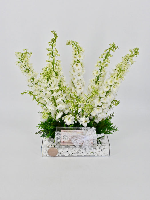 Delphy White Money Arrangement