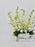 Delphy White Money Arrangement