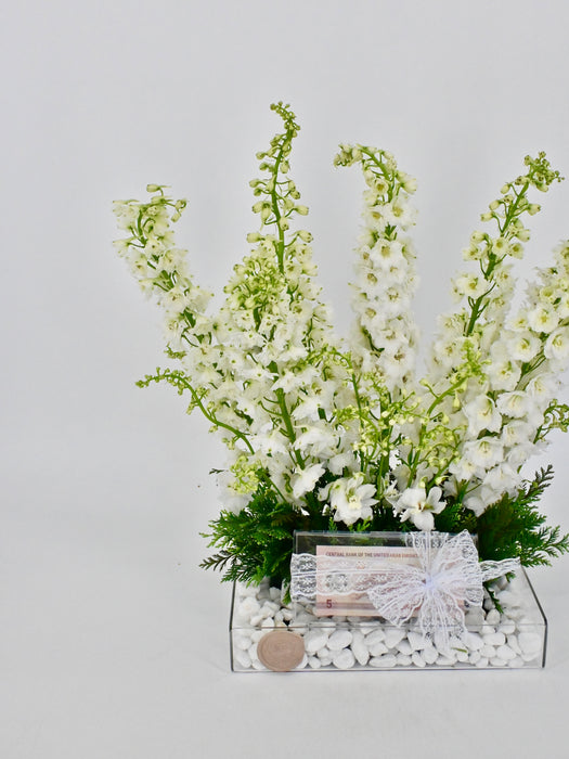 Delphy White Money Arrangement