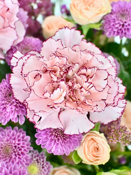 Mariposa Bloom