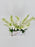 Delphy White Money Arrangement