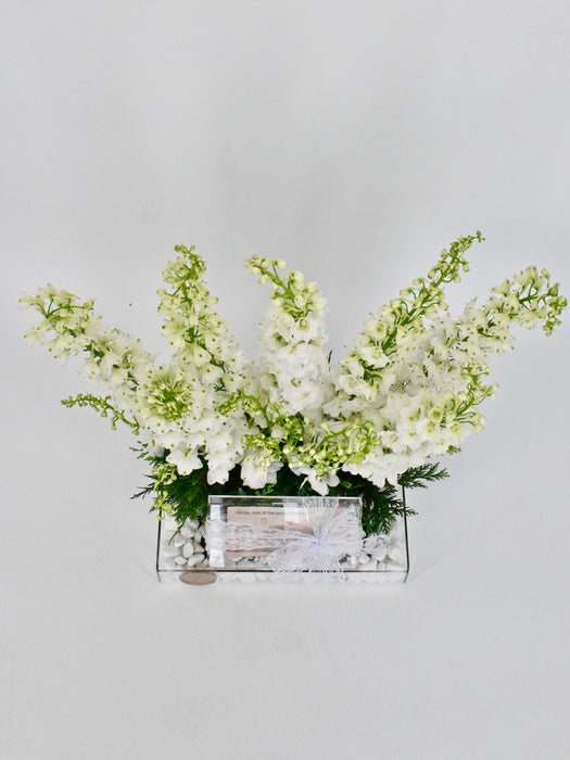 Delphy White Money Arrangement