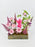 Campy Money Garden