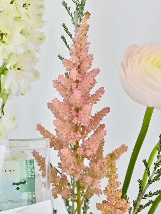Pastel Money Arrangement