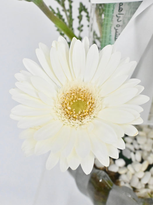 Pastel Money Arrangement