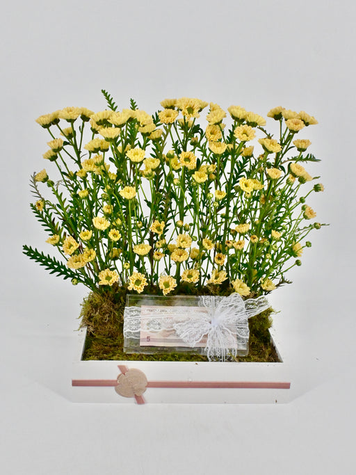 Santi Money Arrangement