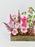 Campy Money Garden