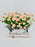 Rosanella Money Arrangement