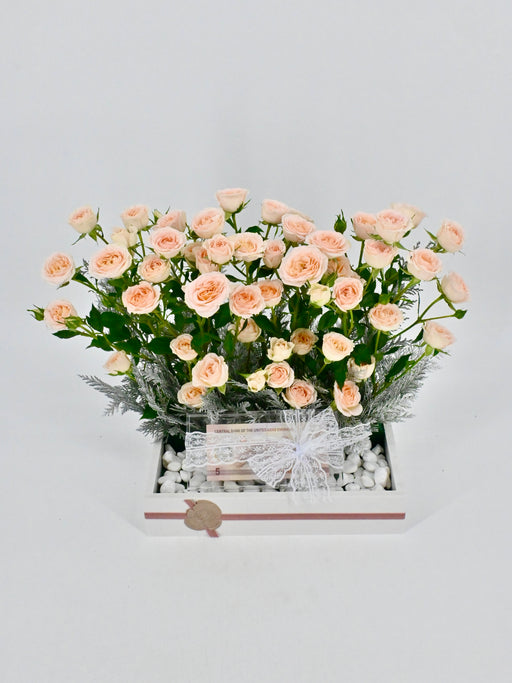Rosanella Money Arrangement