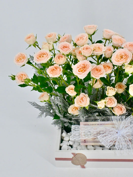 Rosanella Money Arrangement