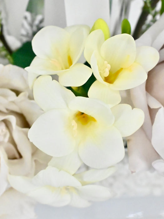 Silvery Money Garden
