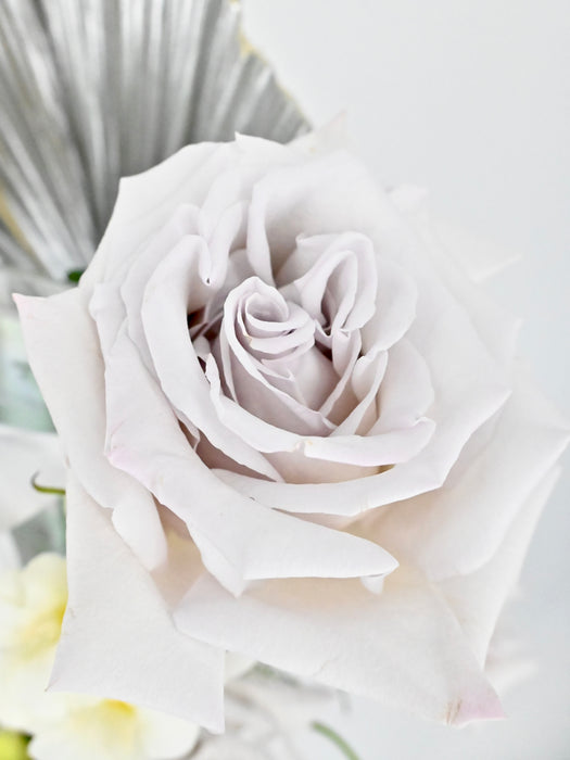 Silvery Money Garden