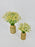 Tana Vase Set