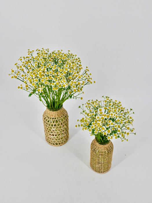 Tana Vase Set