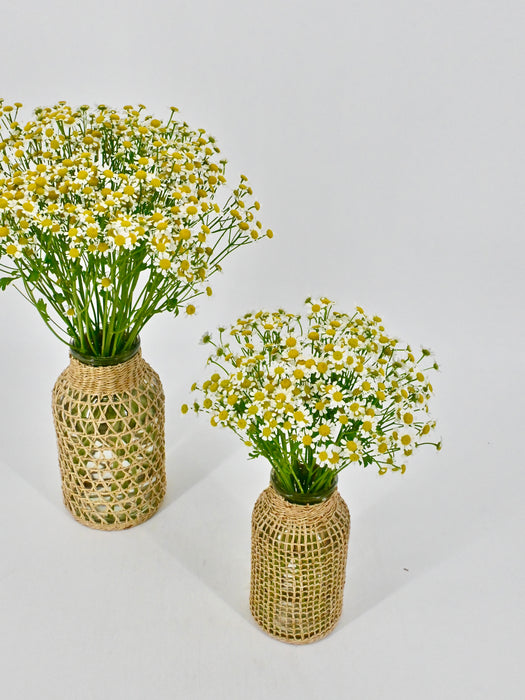 Tana Vase Set