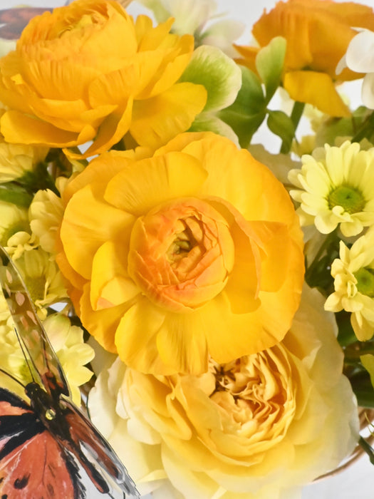 Charming Sunshine