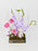 Pink & Purple Money Garden