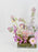 Anthorium Pretty Money Garden