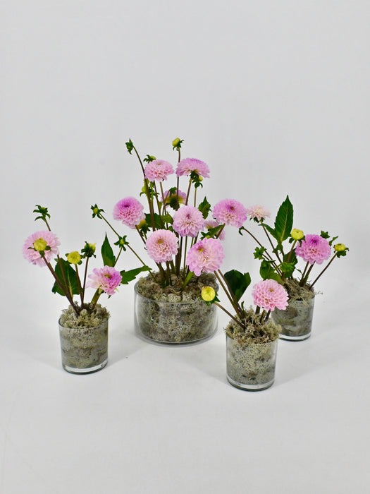 Dahlia Garden Vase Set of 4