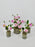 Dahlia Garden Vase Set of 4