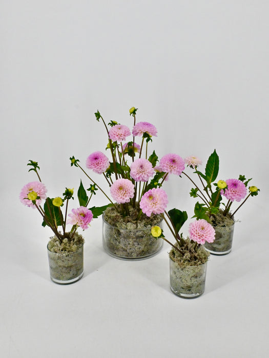Dahlia Garden Vase Set of 4