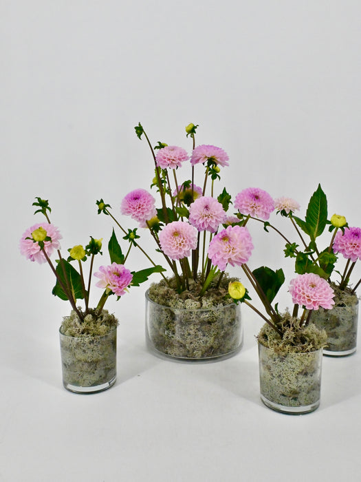 Dahlia Garden Vase Set of 4