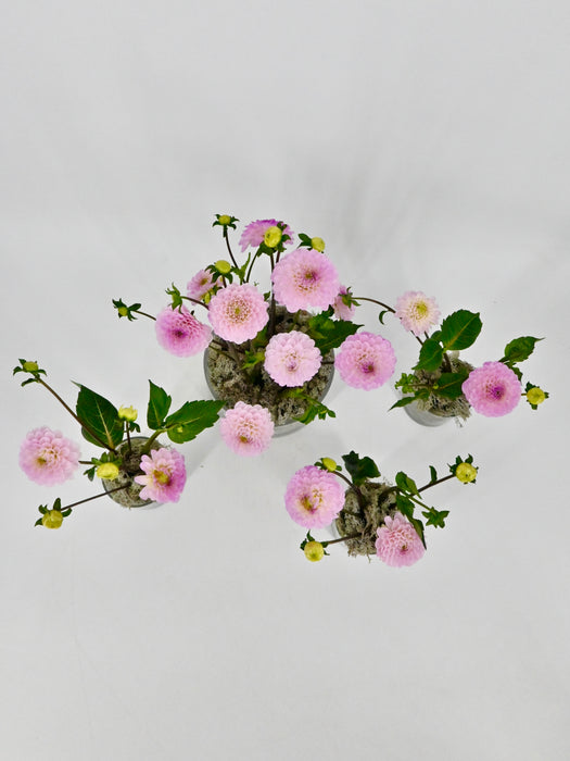 Dahlia Garden Vase Set of 4