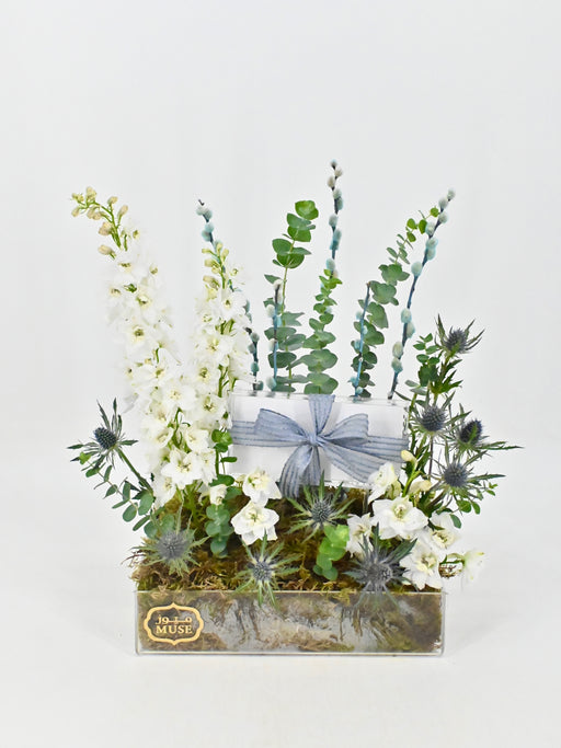White Delphy Money Garden