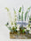 White Delphy Money Garden
