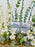 White Delphy Money Garden