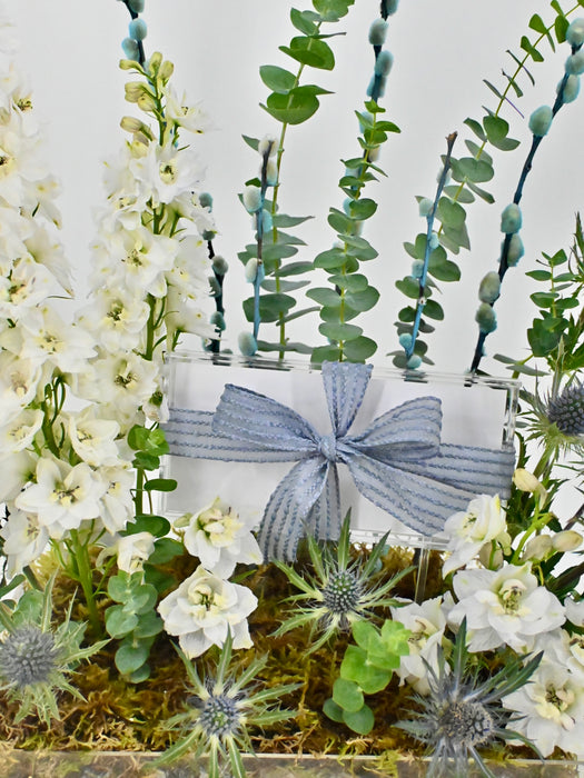 White Delphy Money Garden