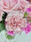 Dreamy Pink