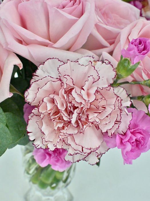 Dreamy Pink