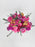 Roseate