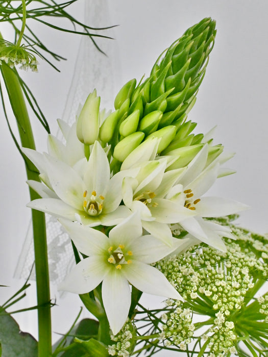 Baby Money Arrangement with Balloon