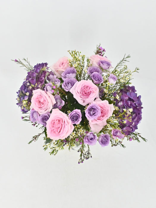 Purple Hues