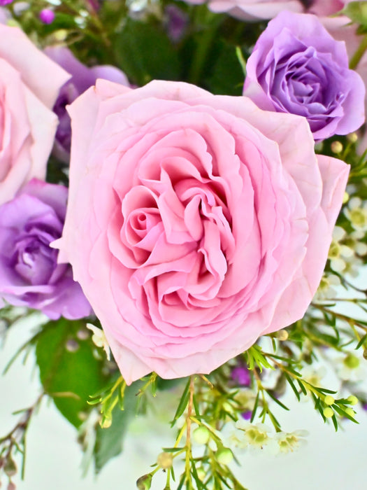 Purple Hues