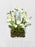 Asiaticus  Money Arrangement